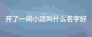 開了一間小店叫什么名字好