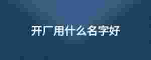 開廠用什么名字好