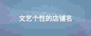 文藝個性的店鋪名