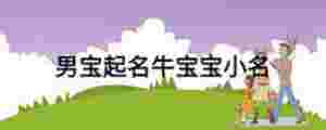 男寶起名牛寶寶小名