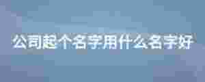 公司起個名字用什么名字好