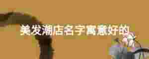 美發潮店名字寓意好的