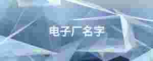 電子廠名字