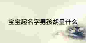 寶寶起名字男孩胡呈什么