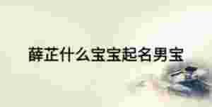 薛芷什么寶寶起名男寶