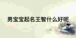 男寶寶起名王智什么好呢