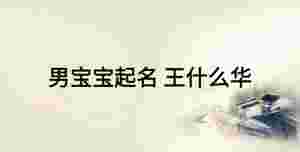 男寶寶起名 王什么華