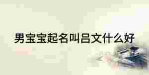 男寶寶起名叫呂文什么好