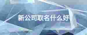 新公司取名什么好