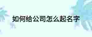 如何給公司怎么起名字