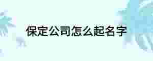 保定公司怎么起名字