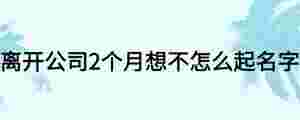 離開公司2個月想不怎么起名字