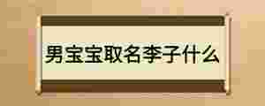 男寶寶取名李子什么
