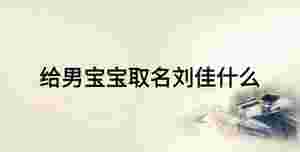 給男寶寶取名劉佳什么