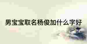 男寶寶取名楊俊加什么字好