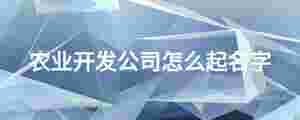 農業開發公司怎么起名字
