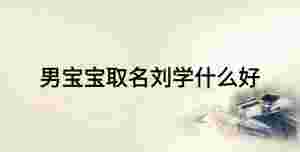 男寶寶取名劉學什么好