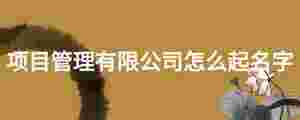 項目管理有限公司怎么起名字