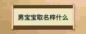 男寶寶取名梓什么