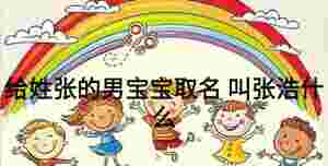 給姓張的男寶寶取名 叫張浩什么