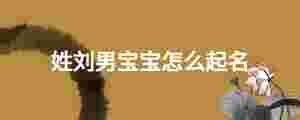 姓劉男寶寶怎么起名
