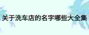 關于洗車店的名字哪些大全集