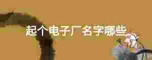 起個電子廠名字哪些