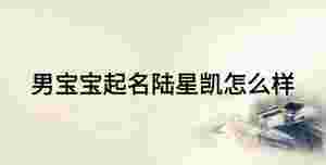 男寶寶起名陸星凱怎么樣