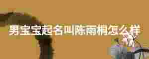 男寶寶起名叫陳雨桐怎么樣