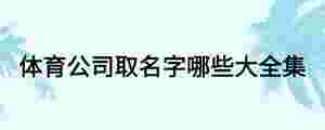 體育公司取名字哪些大全集