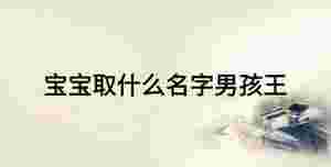 寶寶取什么名字男孩王