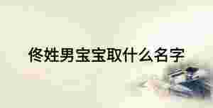 佟姓男寶寶取什么名字