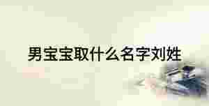 男寶寶取什么名字劉姓