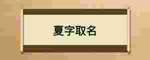 夏字取名