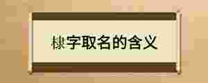 棣字取名的含義
