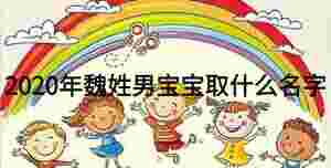 2020年魏姓男寶寶取什么名字