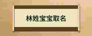 林姓寶寶取名