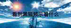 看到黑貓預示著什么