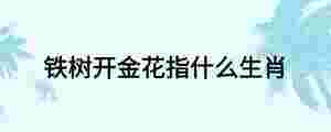 鐵樹開金花指什么生肖