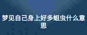 夢(mèng)見(jiàn)自己身上好多蛆蟲(chóng)什么意思
