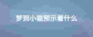 夢(mèng)到小貓預(yù)示著什么