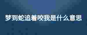 夢(mèng)到蛇追著咬我是什么意思
