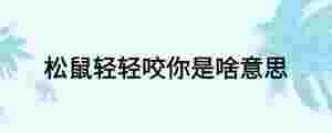 松鼠輕輕咬你是啥意思
