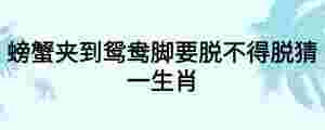 螃蟹夾到鴛鴦腳要脫不得脫猜一生肖