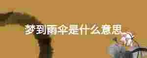 夢到雨傘是什么意思