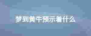 夢到黃牛預示著什么