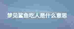 夢見鯊魚吃人是什么意思