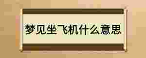 夢見坐飛機什么意思