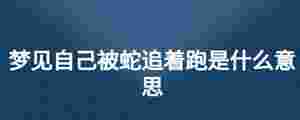 夢見自己被蛇追著跑是什么意思