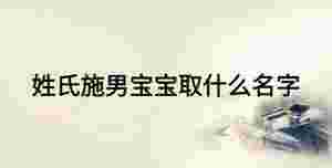 姓氏施男寶寶取什么名字